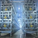 Q235 Steel Broiler Cage System , 108-144 Birds 4 Tier Layer Cage for sale