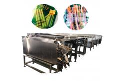 China Automatic Pocky Biscuit Machine Finger Biscuit Chocolate Coating Machine supplier