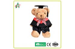 China ASTM Stuffed Teddy Bear Graduation supplier
