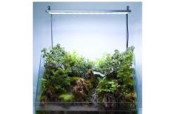 China Luxury RGB Bead Fish Tank Bracket Aquarium Lamp LED Display With Controller supplier
