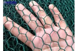 China PVC Coated Hexagonal Wire Mesh Netting 1 Inch For Chicken Coop supplier