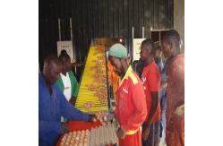 China 4 Tier Poultry Egg Collection System supplier