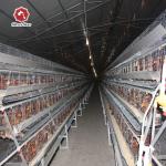 Galvanized 3-10Tiers H Type Layer Cage , 384 Chicken Egg Laying Cages for sale