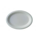 10 Inch 17g Eco Friendly Sugarcane Paper Plates for sale