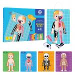 Body Parts Organs Puzzle Human Anatomy Puzzle Toys Boy Girl Anatomy Play Set For Kids for sale