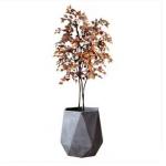 200cm Artificial Potted Floor Plants Simulated Fake Plant Colored Birch Tree Interior Decoration for sale