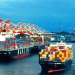 Optional Warehousing & Packaging Services FBA Shipping For Varying Sizes for sale