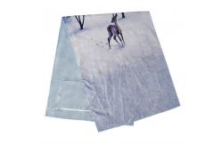 China Quick Dry Summer Microfibre Beach Towel Blanket For Sand supplier