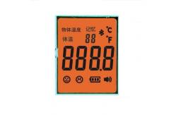 China 3.3V Infrared Thermometer TN LCD 7 Segment Display supplier