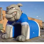 Inflatable Helmet Tunnel / inflatable football tunnel bulldog tunnel for sale