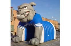 China Inflatable Helmet Tunnel / inflatable football tunnel bulldog tunnel supplier