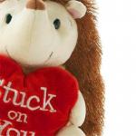 PP Cotton Filled Hedgehog Plush Toy 30cm With No Deformation