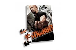 China Custom 0.6mm PET Lenticular Printing 3d Jigsaw Puzzle Flip supplier