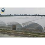 Agricultural Tunnel Multi Span PE Film Greenhouse With Ventilation System for sale