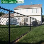 Iron Galvanized Tube 6 Ft Chain Link Fence Black Powder Coated for sale