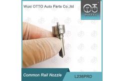 China L236PRD Delphi Common Rail Nozzle For Injectors R04201D supplier