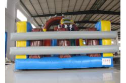 China Outdoor Roller Coaster Commercial Inflatable Water Slides High Slide Design supplier