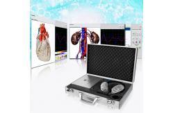 China Clinical Metatron NLS Biofeedback Health Analyzer High Precision With OEM supplier