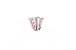 China 25mm Electro Glavanized Steel Concrete Nails With Wide Flat Head supplier
