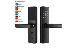 China Remote Control Smart Lock TTlock Tuya Fingerprint Interior Door Lock supplier