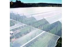 China Plastic Anti Hail Net White Hail Screen For Gardens And Fruits supplier