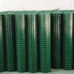 1/4''x1/4'' Green PVC Coated Wire Mesh Export To Indonesia for sale