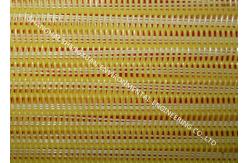 China PET Monofilament Polyester Mesh Belt , Polyester Conveyor Belt For Belt Press supplier