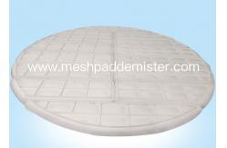 China Tail Gas Scrubbers Pad Demister supplier