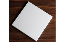 China 0.4-1.2mm Metal Ceiling Tiles Clip In Office Ceiling Tiles 600x600 supplier