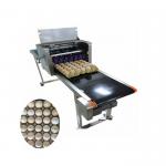 600DPI High Resolution Egg Inkjet Batch Coding Machine For Bar Code / Logo