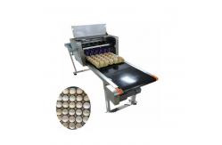 China 600DPI High Resolution Egg Inkjet Batch Coding Machine For Bar Code / Logo supplier