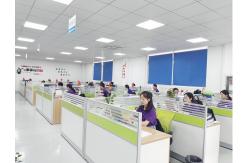 China Electronic Wiring Harness manufacturer