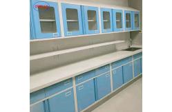 China Rustproof Laboratory Lab Bench Multifunctional 1000x750x850mm supplier