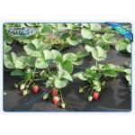 Reusable Max 46m Joint Width PP Spunbond Nonwoven For Plant Growth