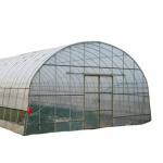 Single-Span Agricultural Greenhouses with Film Cover The Perfect Growing Environment for sale