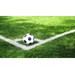 Sunscreen Artificial Turf Grass 11000 Dtex Flame Retardant And Abrasion Test for sale