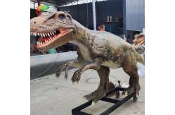 China 4Meters Life Size Animatronic Dinosaurs Sunproof Allosaurus Model For Exhibition supplier