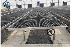 China Rectangular Plastic Nursery Seedling Trays UV Resistant Easy Maintenance supplier
