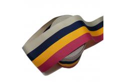China Width 60mm Fish Line Poly Webbing Polyester Woven Webbing Strap supplier