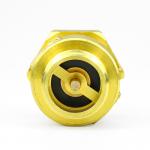 Anti Air Rotation Brass  Check Valve Vertical Male Female Check Valve