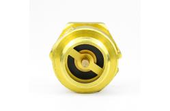 China Anti Air Rotation Brass  Check Valve Vertical Male Female Check Valve supplier
