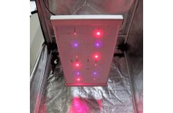 China PWM 2x2 Led Grow Light supplier