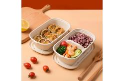 China Eco Friendly Compostable Sugarcane Container 1000ml 2 Compartment Takeaway Containers supplier