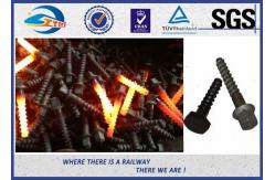 China Railway sleeper fixing screws Black Oxide ISO 24 Dia 160 Length SS8 supplier
