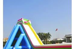 China Funny And Exciting Jungle Inflatable Rampage Water Slide For Amusement Games supplier