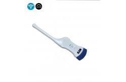 China Medical Equipment Handheld Convex Transvaginal Ultrasound Probe supplier