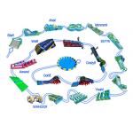 0.55mm PVC Tarpaulin Inflatable Obstacle Challenges / Insane 5k Obstacle Course