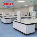 Fast Installation Chemistry Lab Furniture Hong Kong That Is Customizable for sale