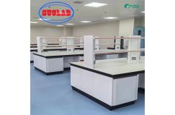 China Custom Chemistry Lab Bench With Cabinet DTC Hinges And Phenolic Countertop supplier