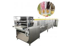 China Automatic Pocky Biscuit Coating Machine Finger Biscuit Stick Biscuit Enorbing Line supplier